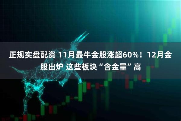 正规实盘配资 11月最牛金股涨超60%！12月金股出炉 这些板块“含金量”高