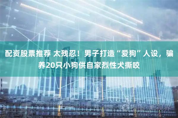 配资股票推荐 太残忍！男子打造“爱狗”人设，骗养20只小狗供自家烈性犬撕咬